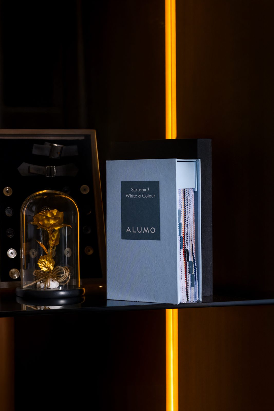 Albeer — fashion brand identity moodboard by Innovex