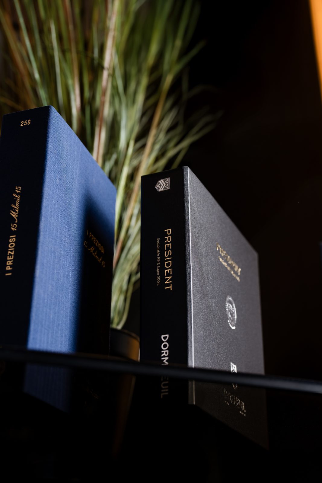 Albeer — fashion brand identity moodboard by Innovex