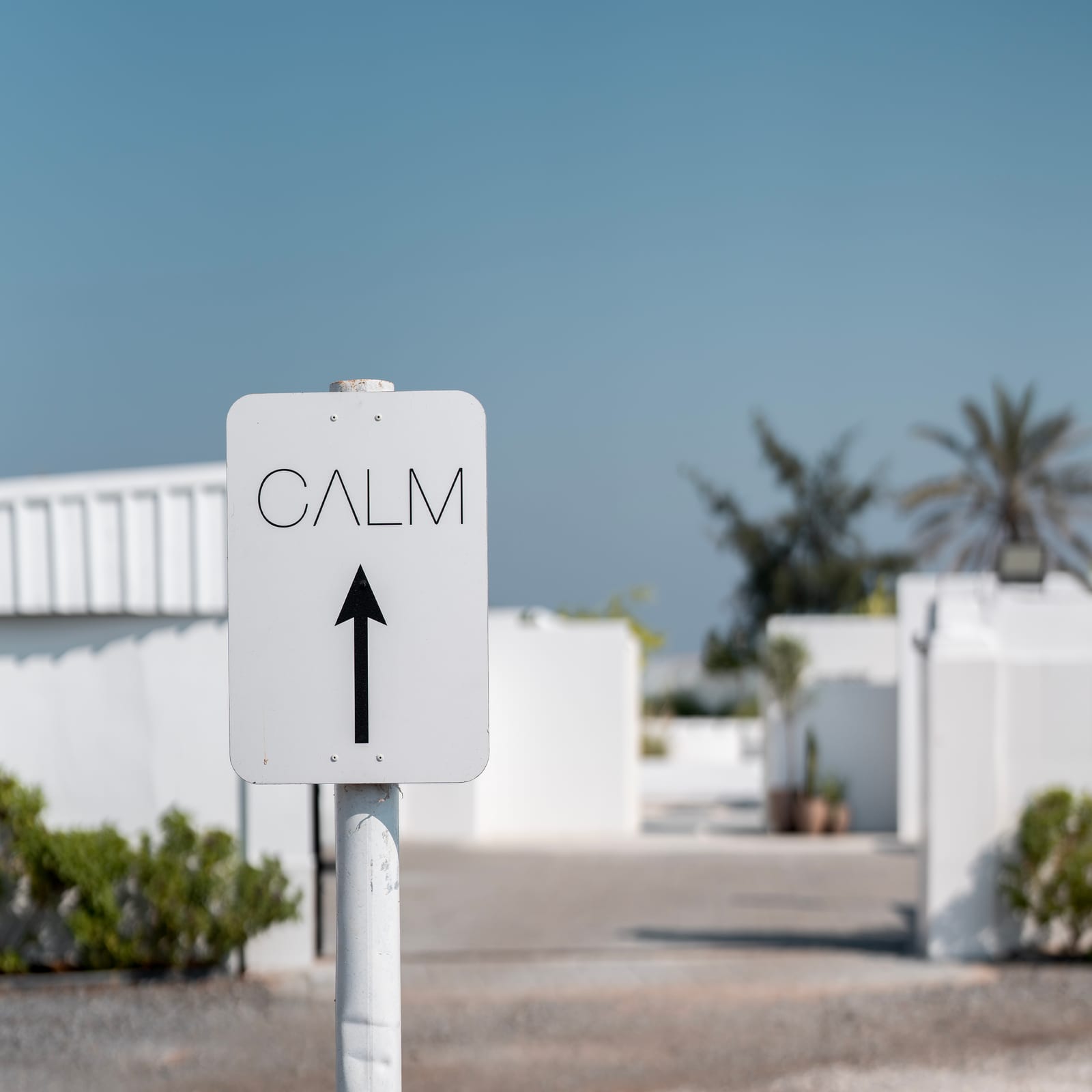 Calm Resort — hospitality art-direction moodboard by Innovex