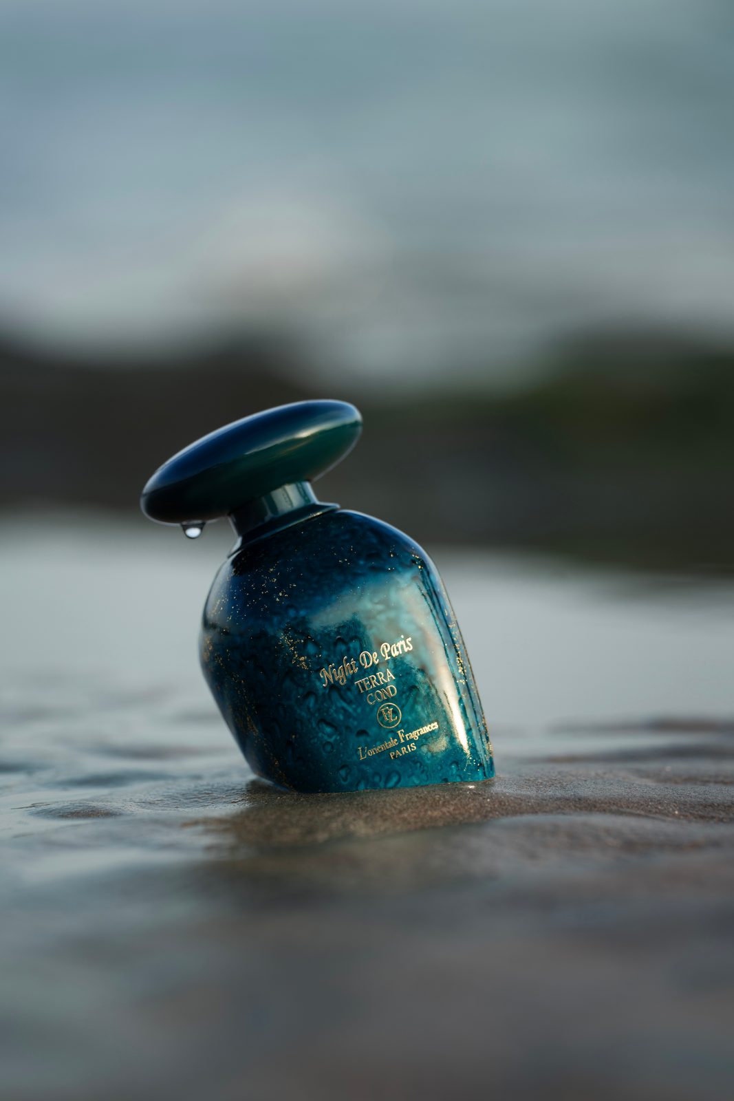 L'Orientale Fragrances — brand identity moodboard by Innovex