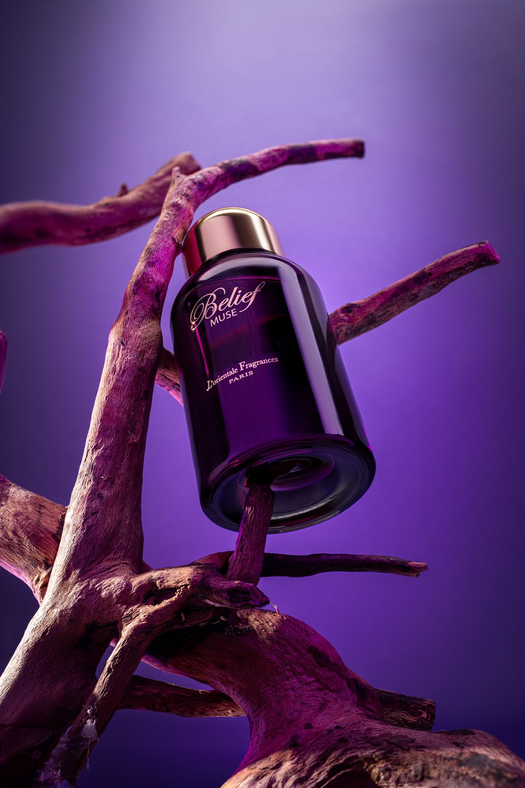 L'Orientale Fragrances — brand identity moodboard by Innovex