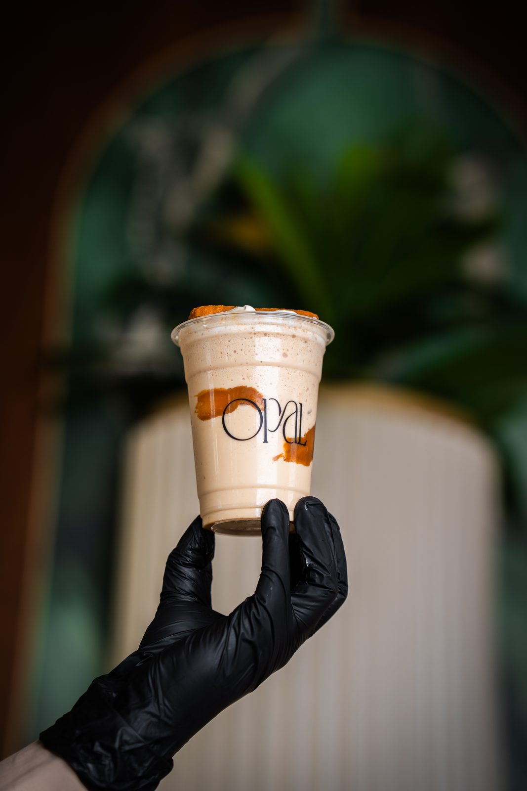 Opal 10 Cafe — food and beverage art-direction moodboard by Innovex