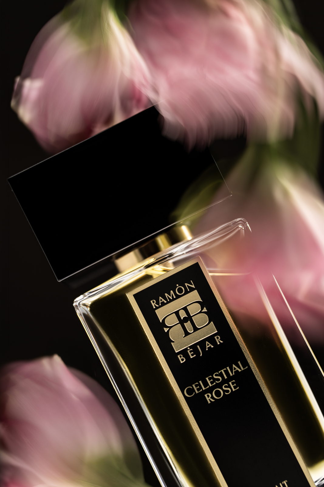 Ramon Béjar — fragrance brand identity moodboard by Innovex