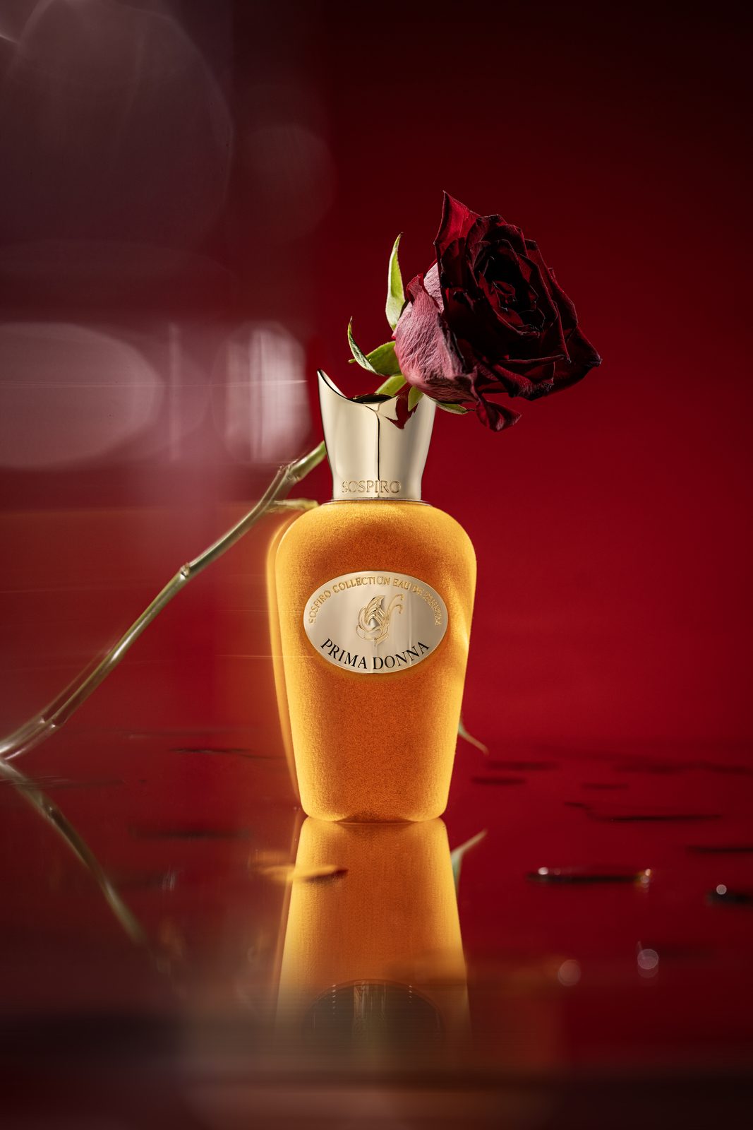 Sospiro — fragrance brand identity moodboard by Innovex
