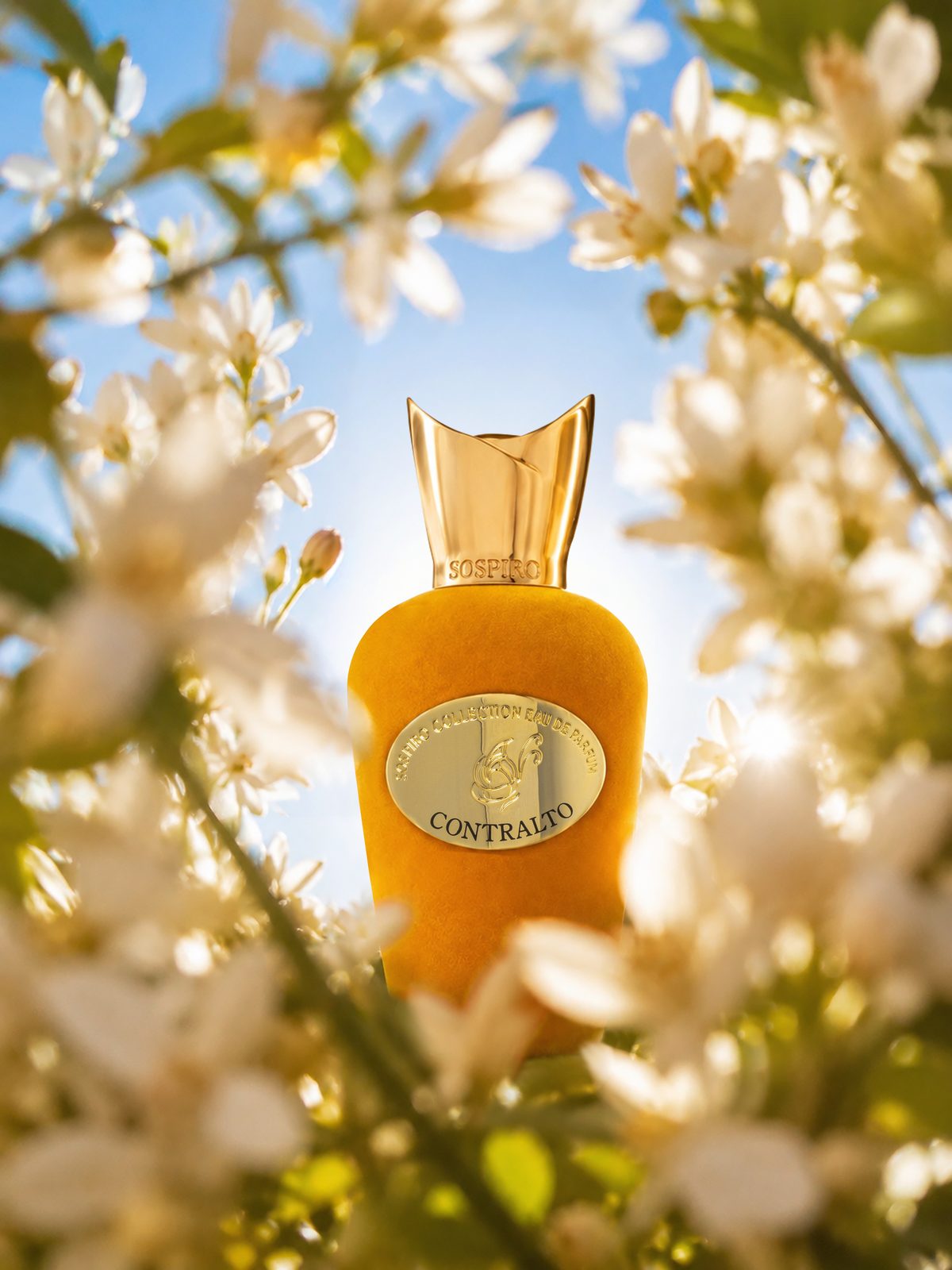 Sospiro — fragrance brand identity moodboard by Innovex