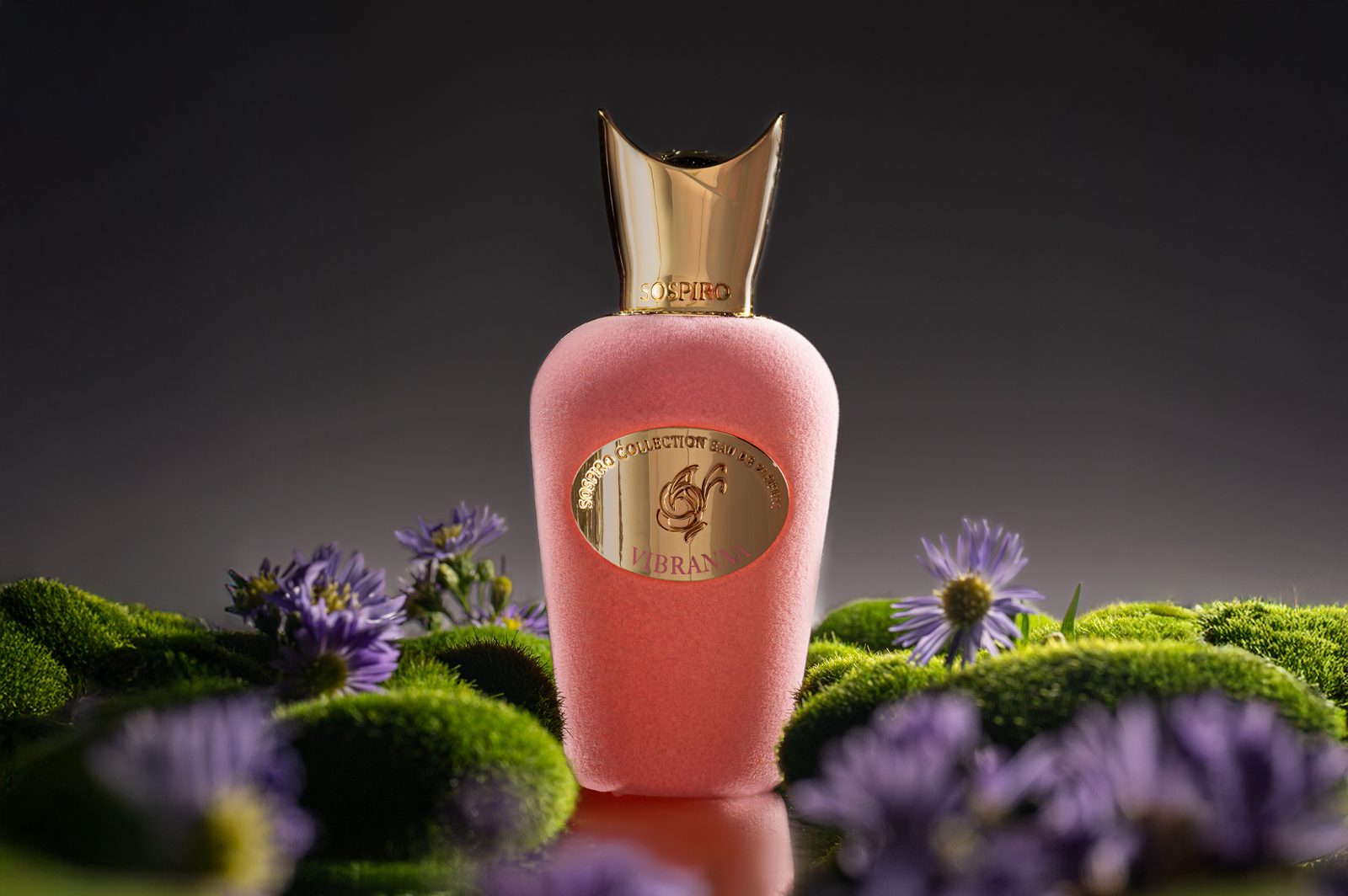 Sospiro — fragrance art-direction moodboard by Innovex
